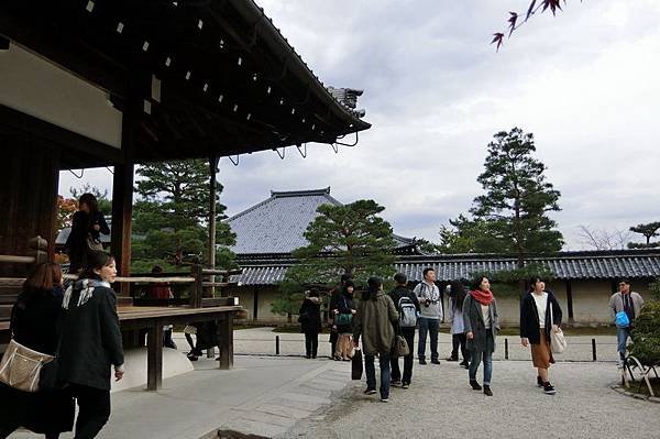 CIMG0854_調整大小.JPG