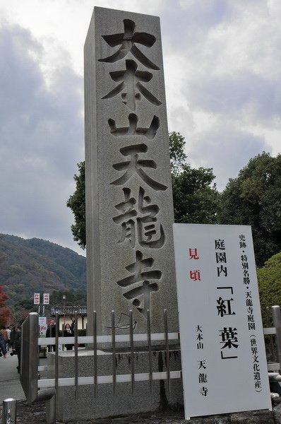 CIMG0894_調整大小.JPG