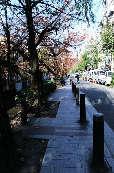 CIMG1077_調整大小.JPG