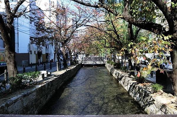 CIMG1083_調整大小.JPG