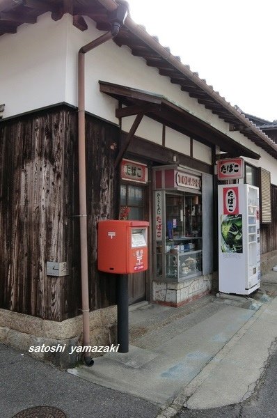 CIMG0985_調整大小.JPG