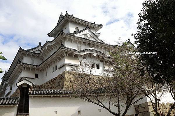 CIMG1540_調整大小.JPG