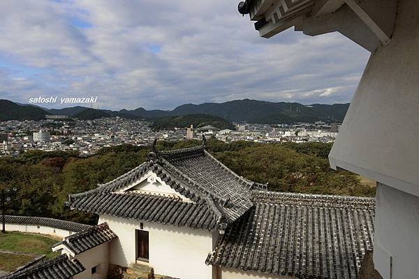CIMG1547_調整大小.JPG