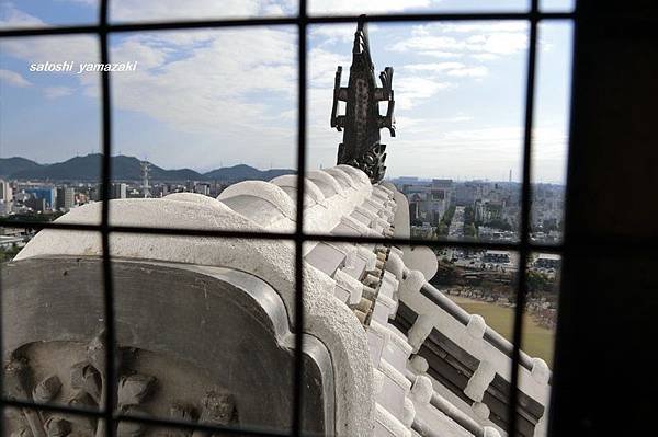 CIMG1561_調整大小.JPG