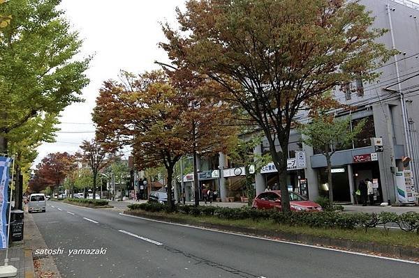 CIMG2426_調整大小.JPG