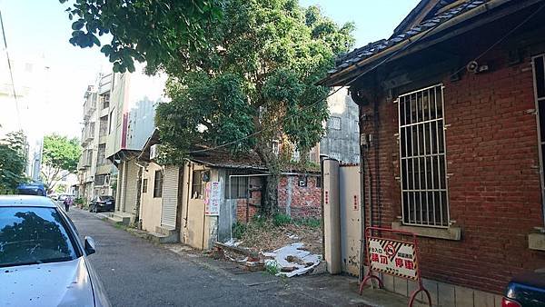 DSC_8095_調整大小.JPG