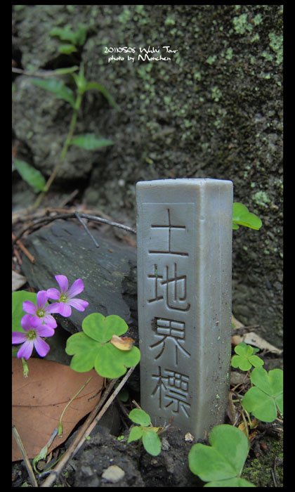 烏來曬黑之旅