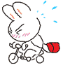 2611-9.gif
