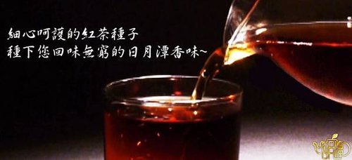 魚池鄉紅茶推薦