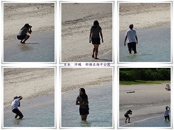 日本  沖繩  部瀨名海中公園3.jpg