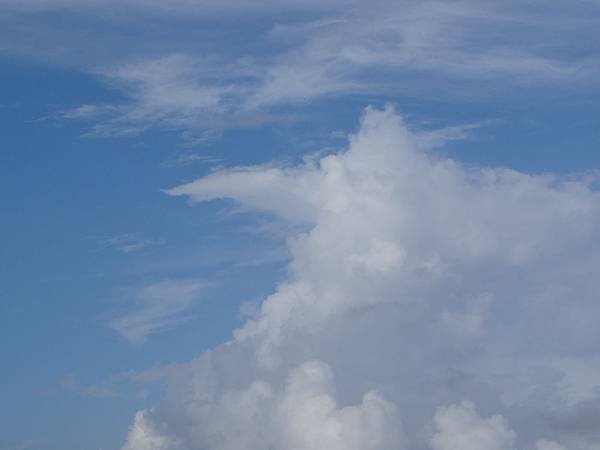 DSC05500.JPG