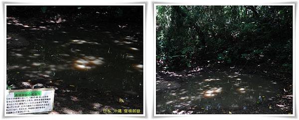 齋場御嶽5.jpg