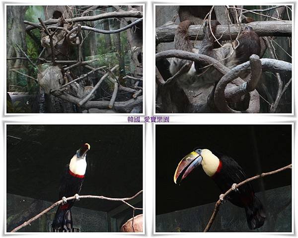 76-1愛寶樂園.jpg