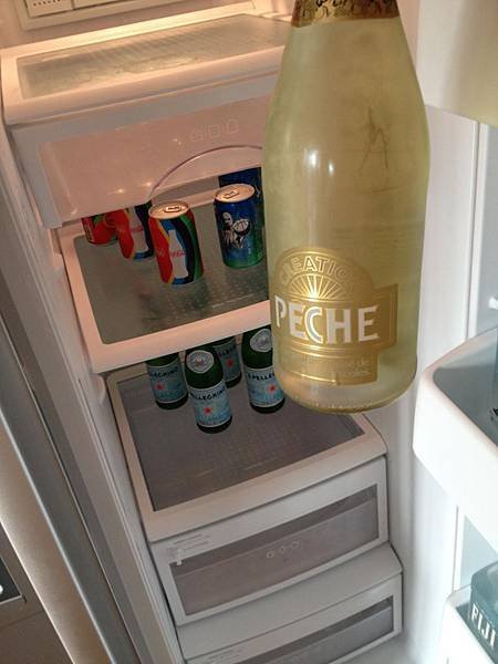 冰箱的飲料和酒以及冰淇淋等等東西都是飯店送的唷
