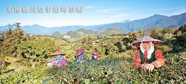 紅玉紅茶泡法