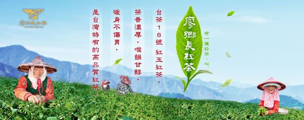 紅茶茶包推薦