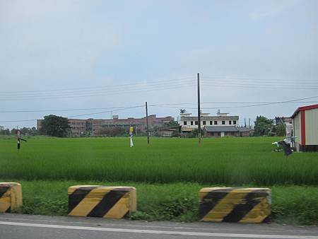 IMG_5571.JPG