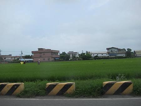 IMG_5570.JPG
