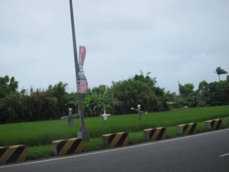 IMG_5567.JPG
