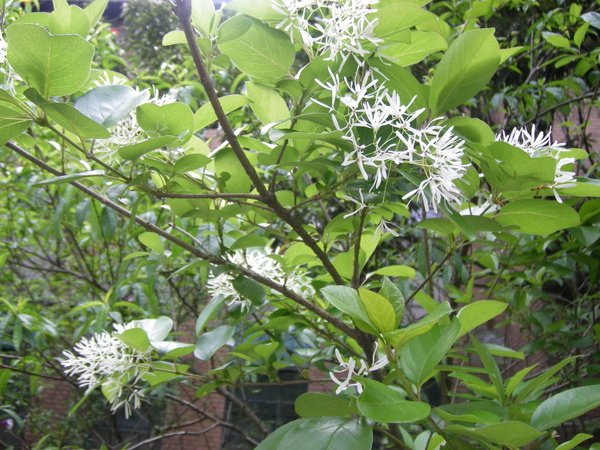照片 065.jpg