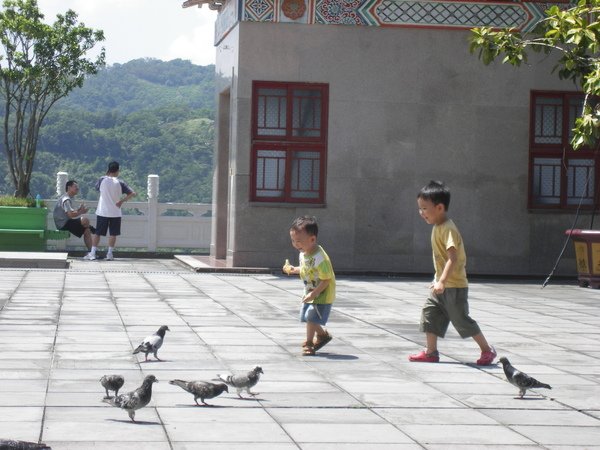 照片 017.jpg