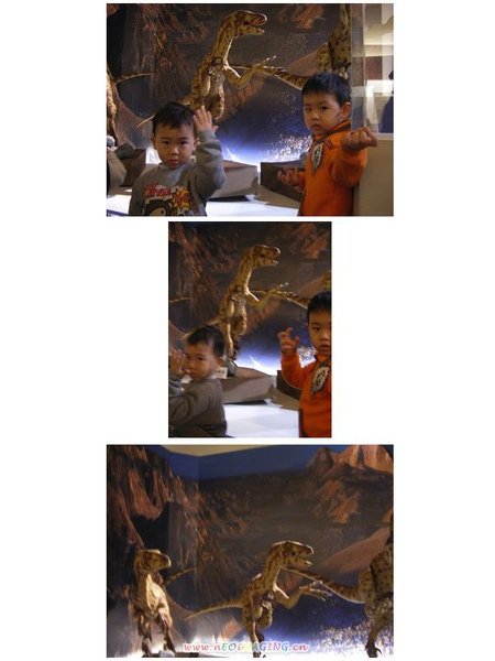 29.jpg