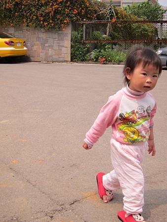 IMG_5133.JPG