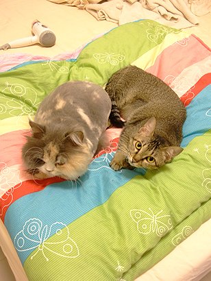 DSCF9556.JPG
