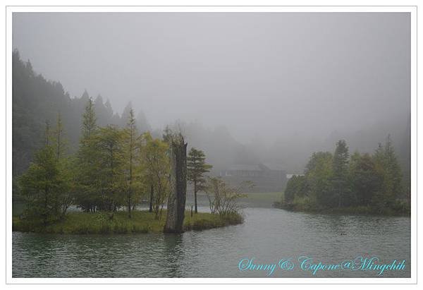 DSC_0389.JPG