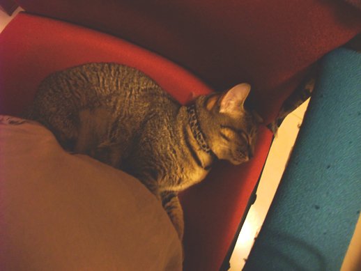 DSCF9303.jpg