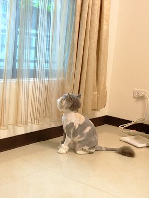 DSCF9541.JPG