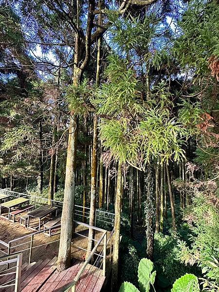 【新北三峽秘境】禾煦熊空休閒農場