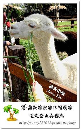 24.晴天小熊-淨園機場咖啡休閒農場-遊走峇里異國風