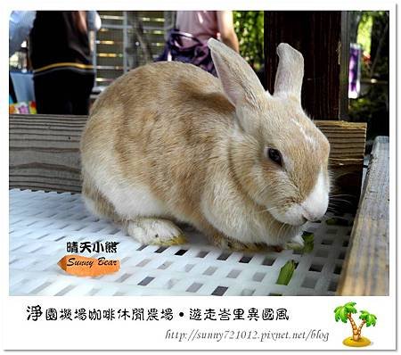 44.晴天小熊-淨園機場咖啡休閒農場-遊走峇里異國風