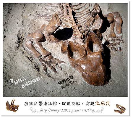 23.晴天小熊-自然科學博物館-從龍到獸，穿越化石代