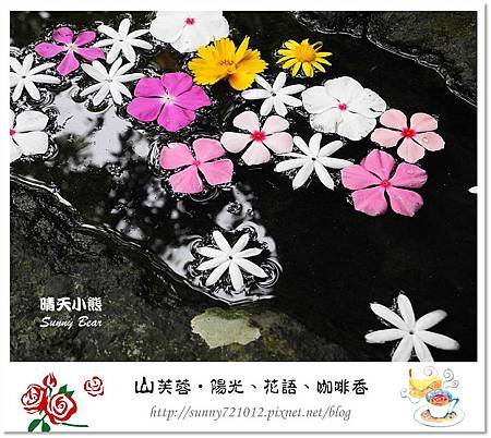 16.晴天小熊-山芙蓉-隱匿山城中的秘密花園