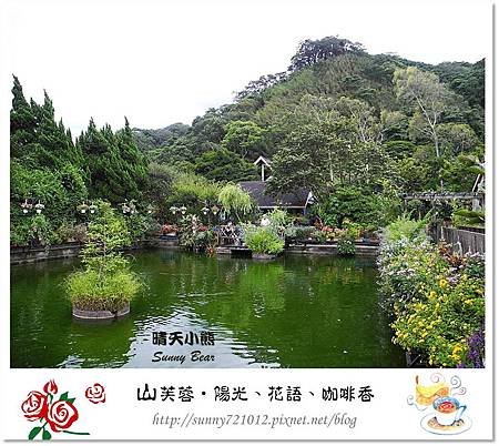 71.晴天小熊-山芙蓉-隱匿山城中的秘密花園