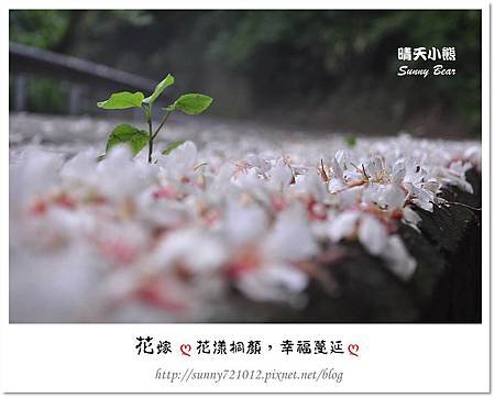 2.晴天小熊-花嫁ღ 花漾桐顏，幸福蔓延 ღ 
