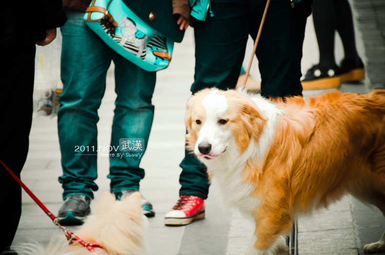 20111115-44.jpg