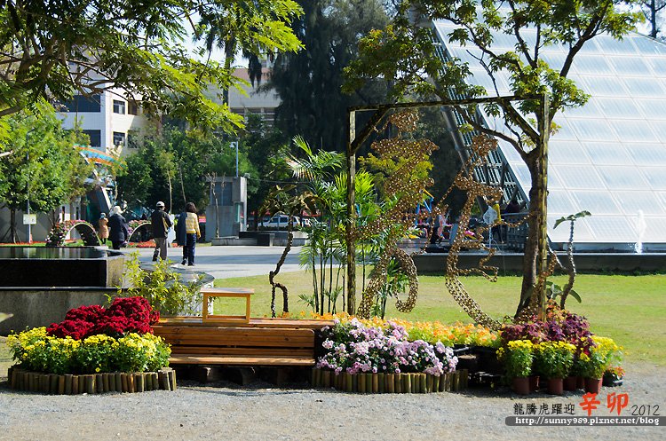 DSC_9976-1.jpg