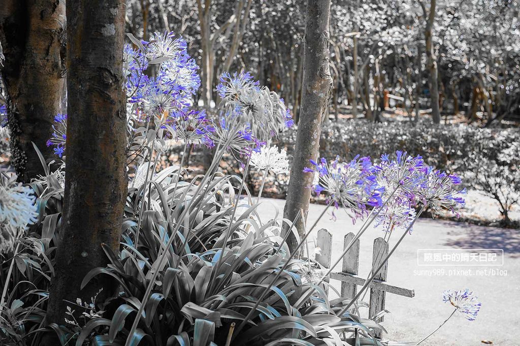 DSC_2674-1.jpg