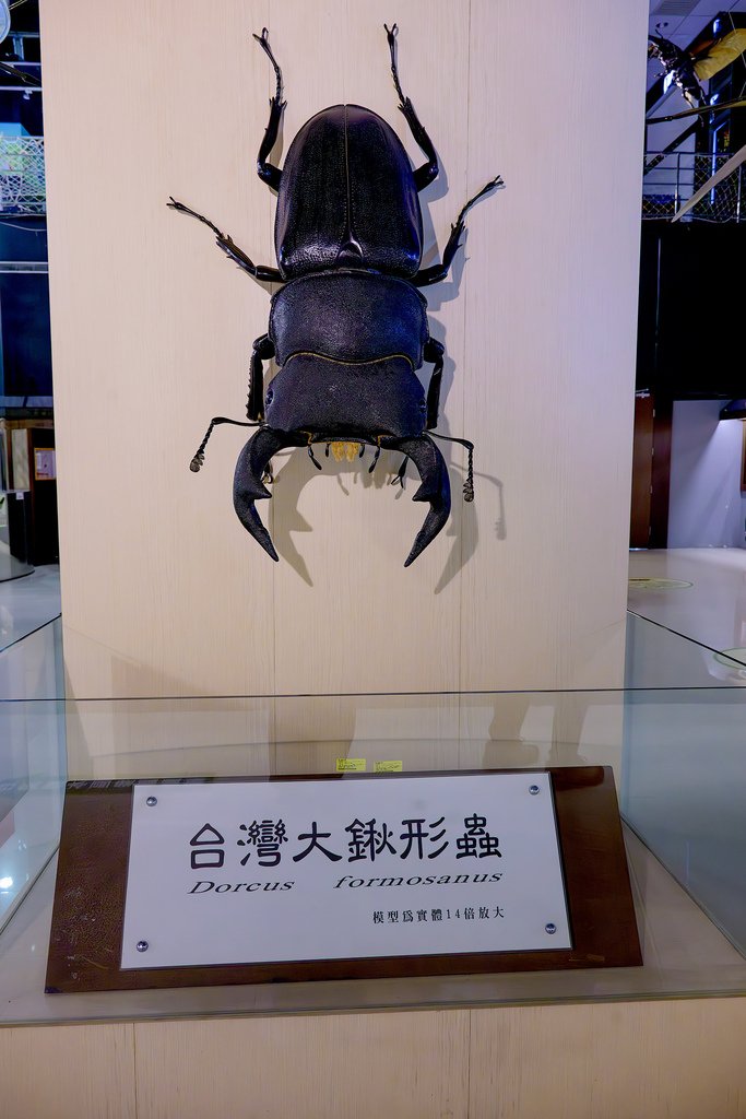 DSC_5853-已增強-雜訊減少.jpg