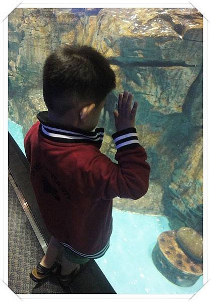 水族缸前好奇的小人兒02.JPG