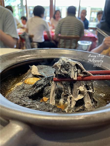 【食記】台中市南屯區-「田寮農莊」台中南屯寵物友善的景觀餐廳，適合親友一起來吃合菜跟享受純樸田園風美景 桑妮晴的日常紀錄 (11).jpg
