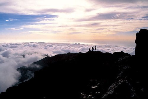 獻給登山者.jpg