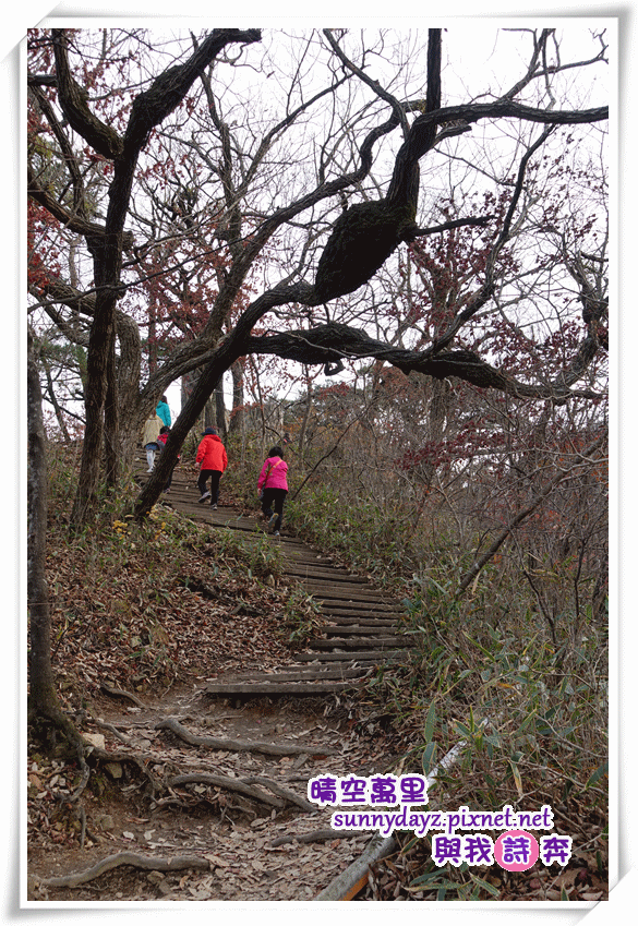 NJS006.gif