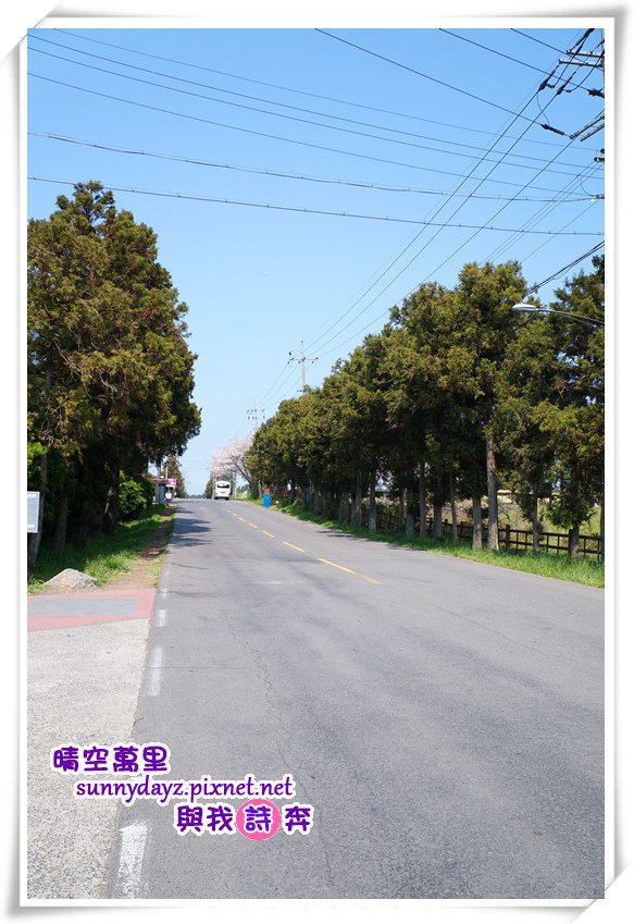 secretroad004.jpg