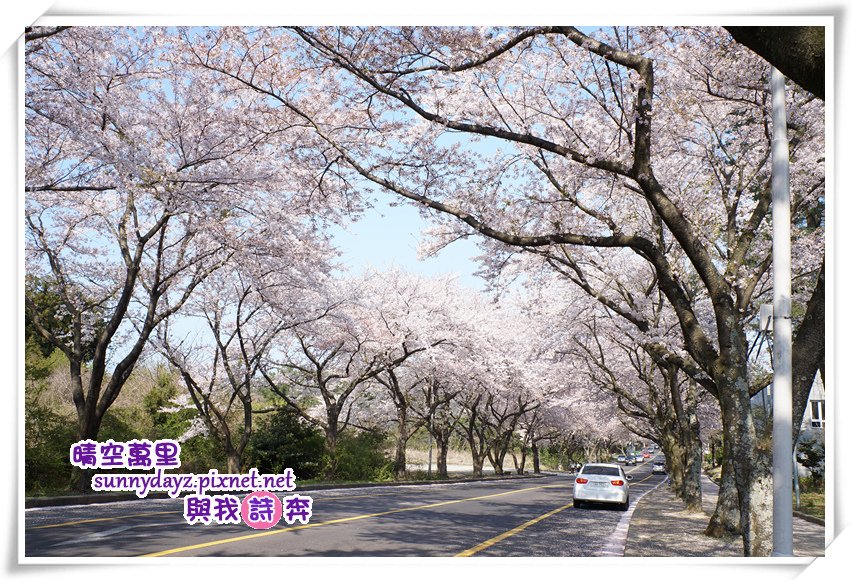 jejuU001.jpg