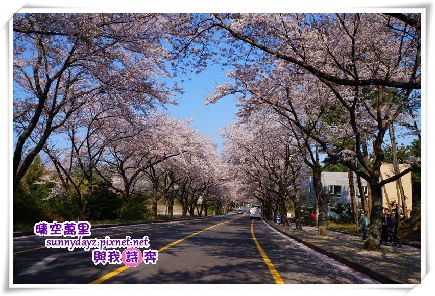 jejuU002.jpg