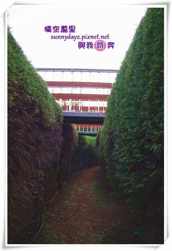maze005.gif